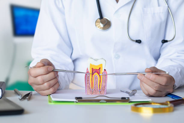 Best Emergency Root Canal Therapy in Cridersville, OH